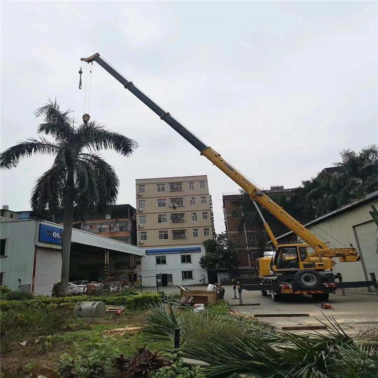 铜陵郊区汽车吊出租多少钱？全面解析与市场行情